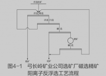 采用磁選-陽離子反浮選工藝處理磁鐵礦的實例